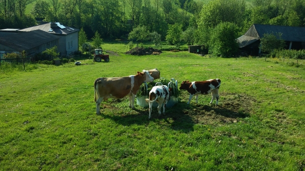 Round pasture for cattle and horses